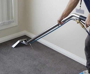 carpet steam cleaning services in amaroo