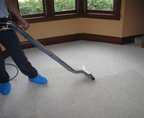 professional carpet cleaning team